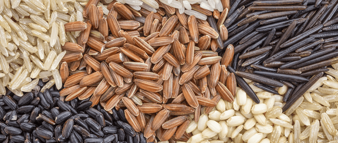 Is Rice Healthy for Diabetics: Healthy Rice Varieties