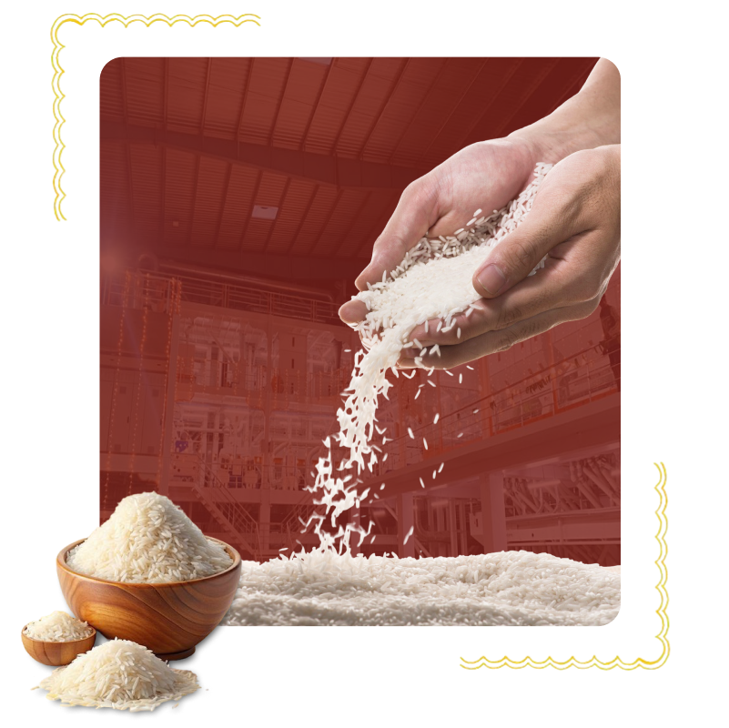Buy organic rice online