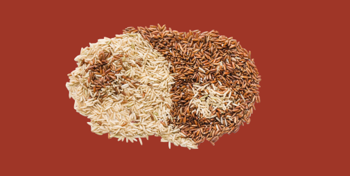 rice vs wheat image of blog