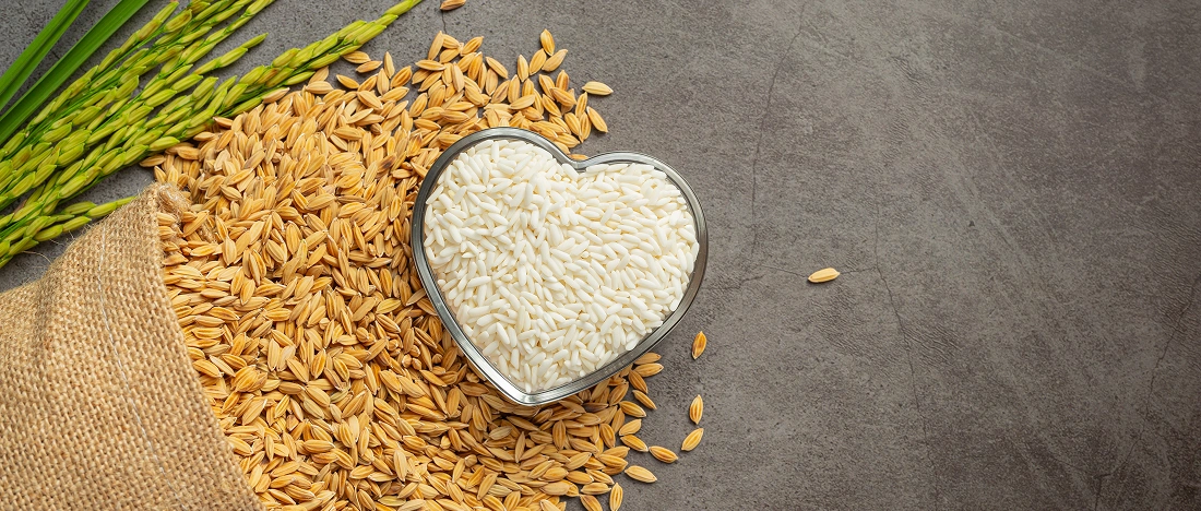 Rice vs Wheat