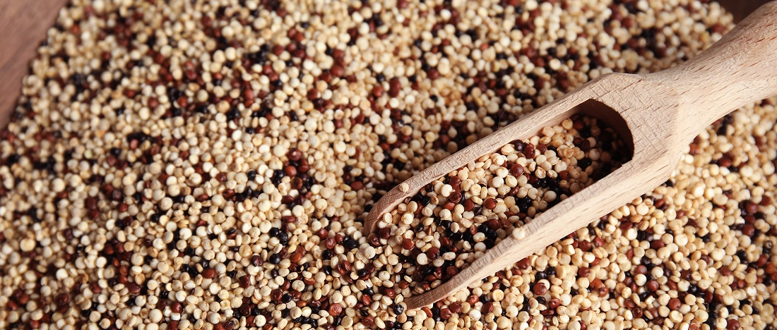 brown rice vs quinoa
