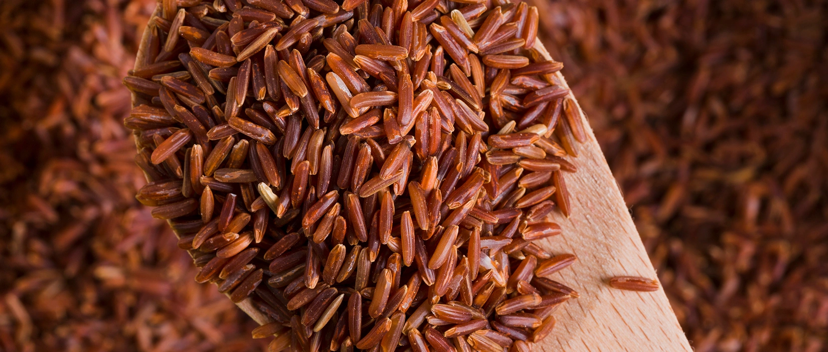 brown rice vs quinoa