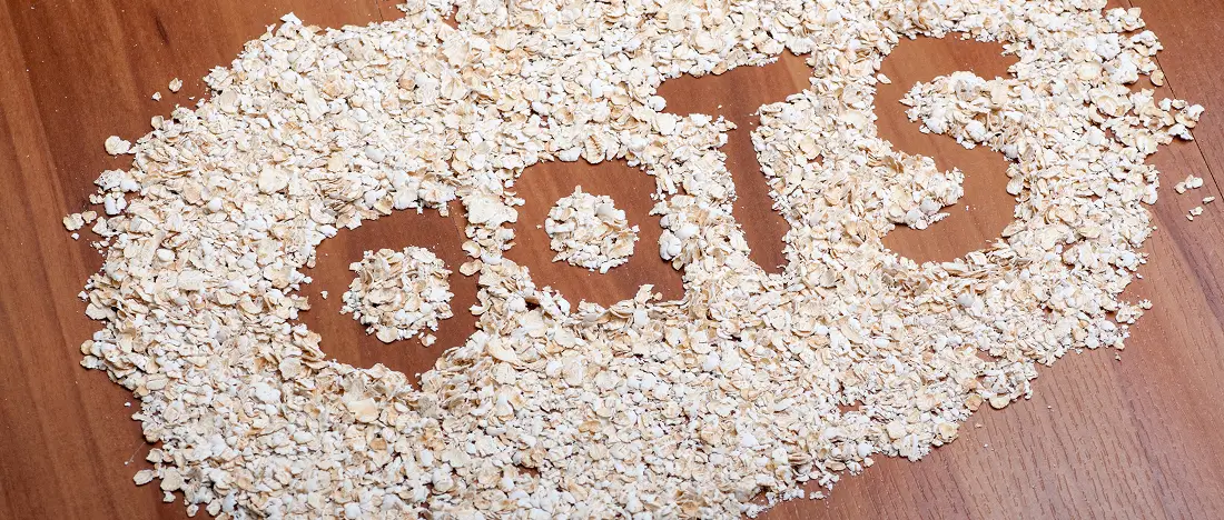 Health Benefits Of Oats